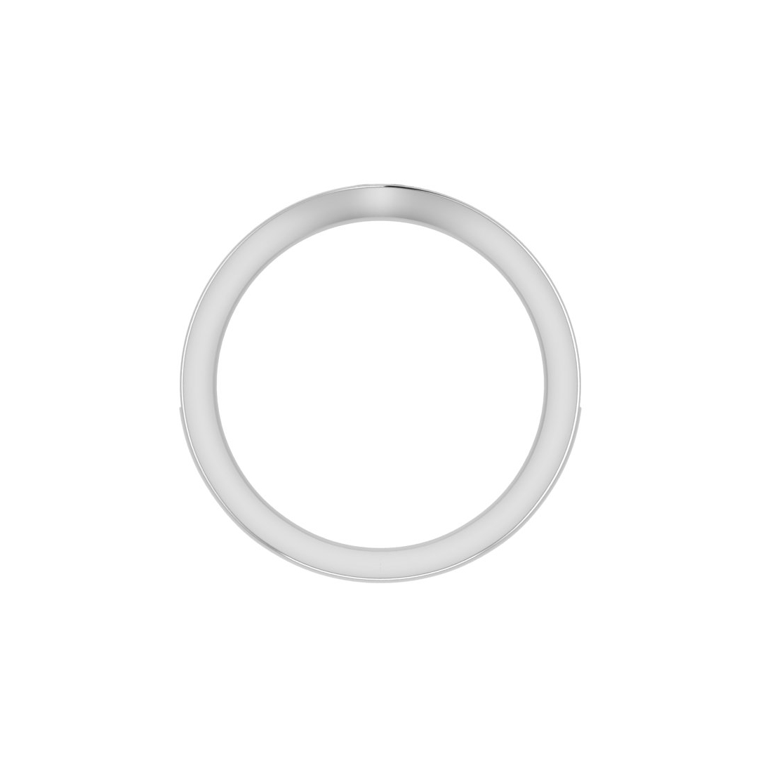 Alina Pave Band